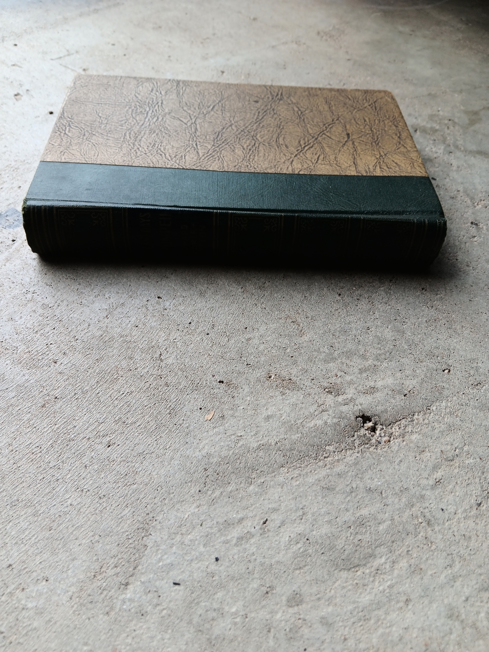 Vintage Edward Bulwer Lytton THE LAST DAYS OF POMPEII Art Type Edition Book